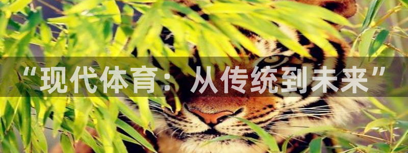 www.意昂5Kgame体育.com