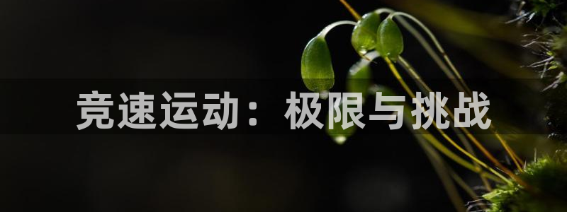 意昂5Kgame平台主管