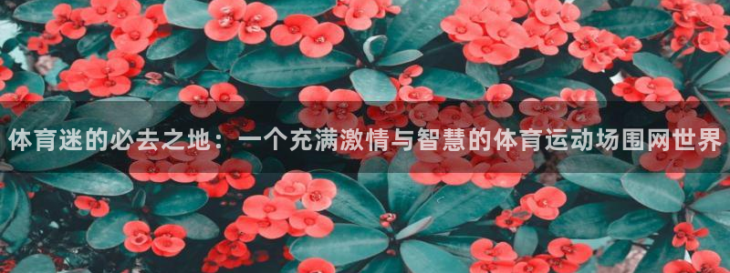 意昂5Kgame平台开户链接