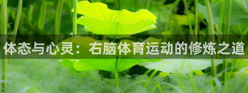 意昂5Kgame集团总部