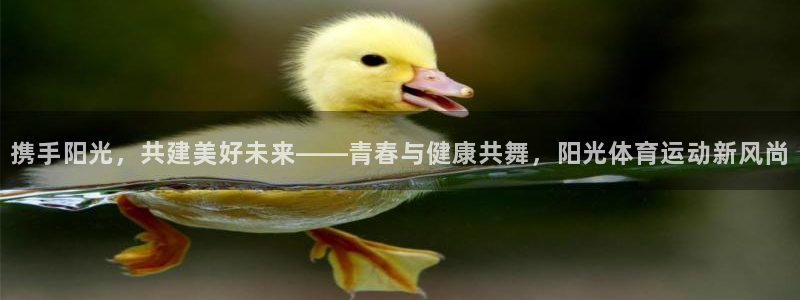 意昂5Kgame能源