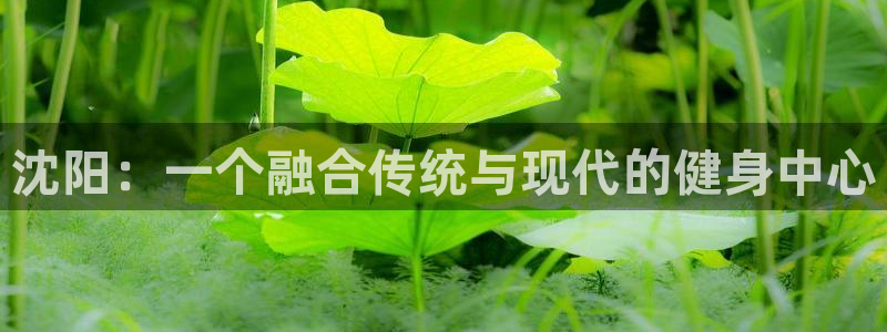 意昂5Kgame体育凯捷代理注册