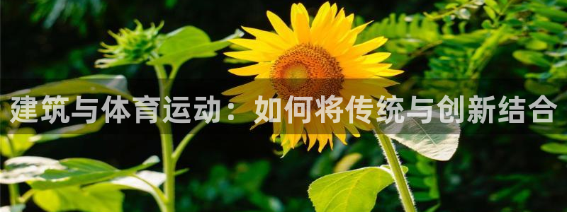 意昂5Kgame凯捷开号链接