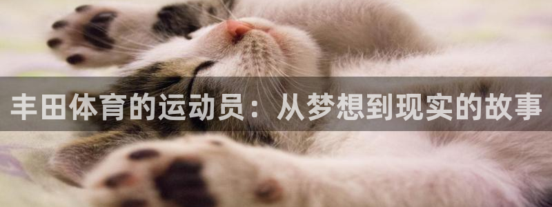 意昂5Kgame体育4
