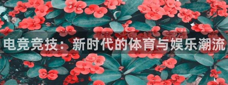 意昂5Kgame体育免费注册入口