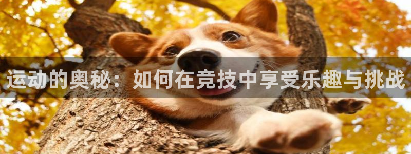 意昂5Kgamevk