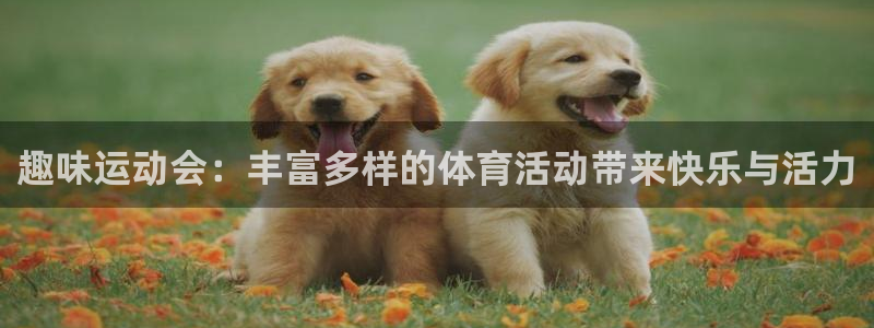 意昂5Kgame体育官网
